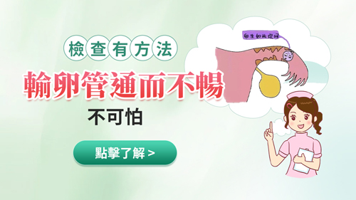 输卵管9.jpg